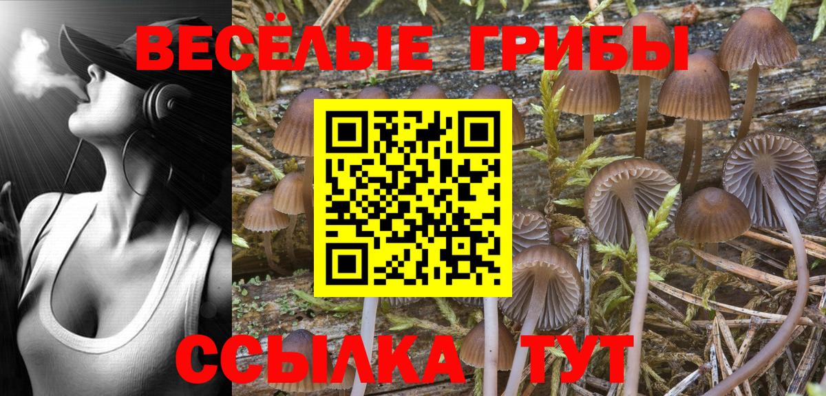 Псилоцибиновые грибы Cubensis  Вход с VPN  Волоколамск 